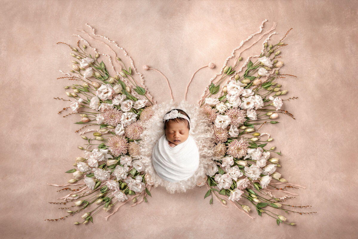 newborn_Butterfly