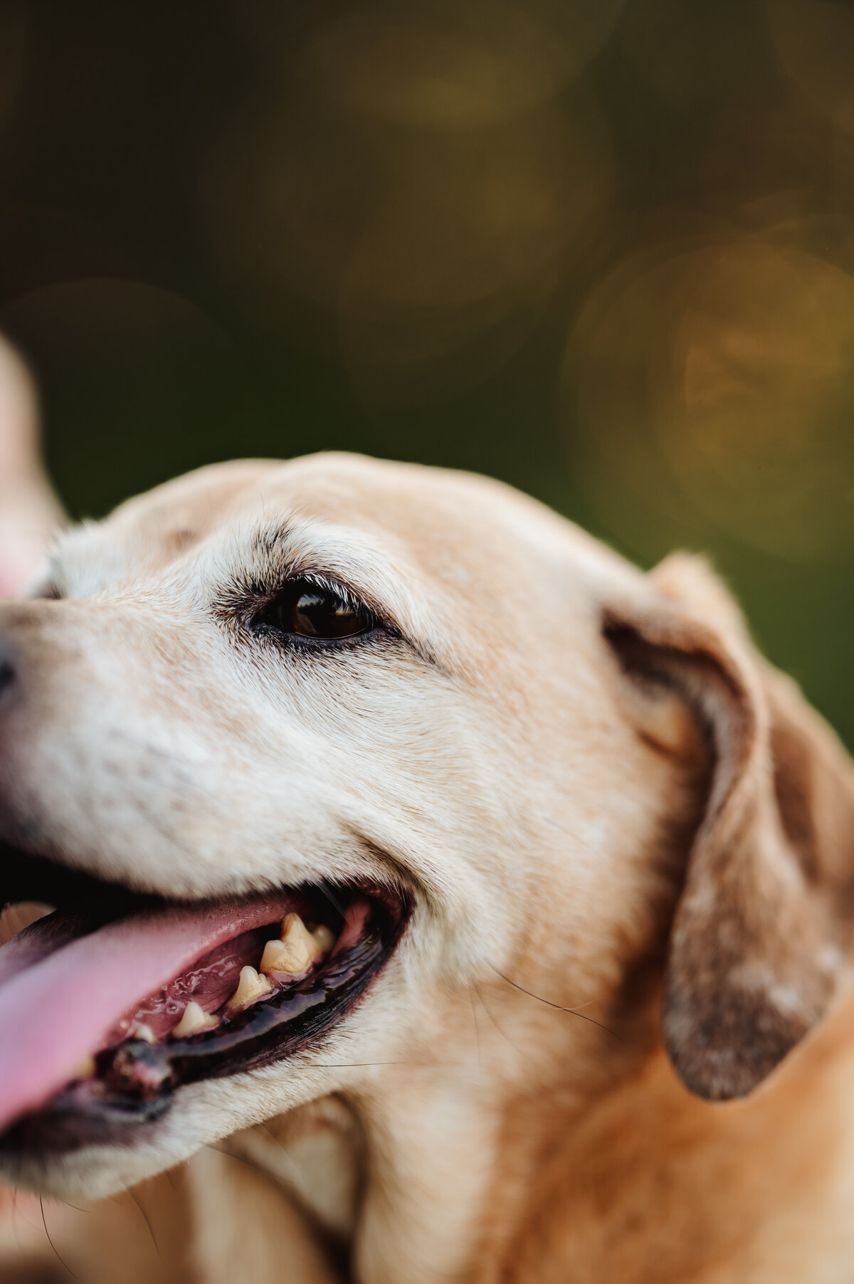 OliviaB_Fall2025_065