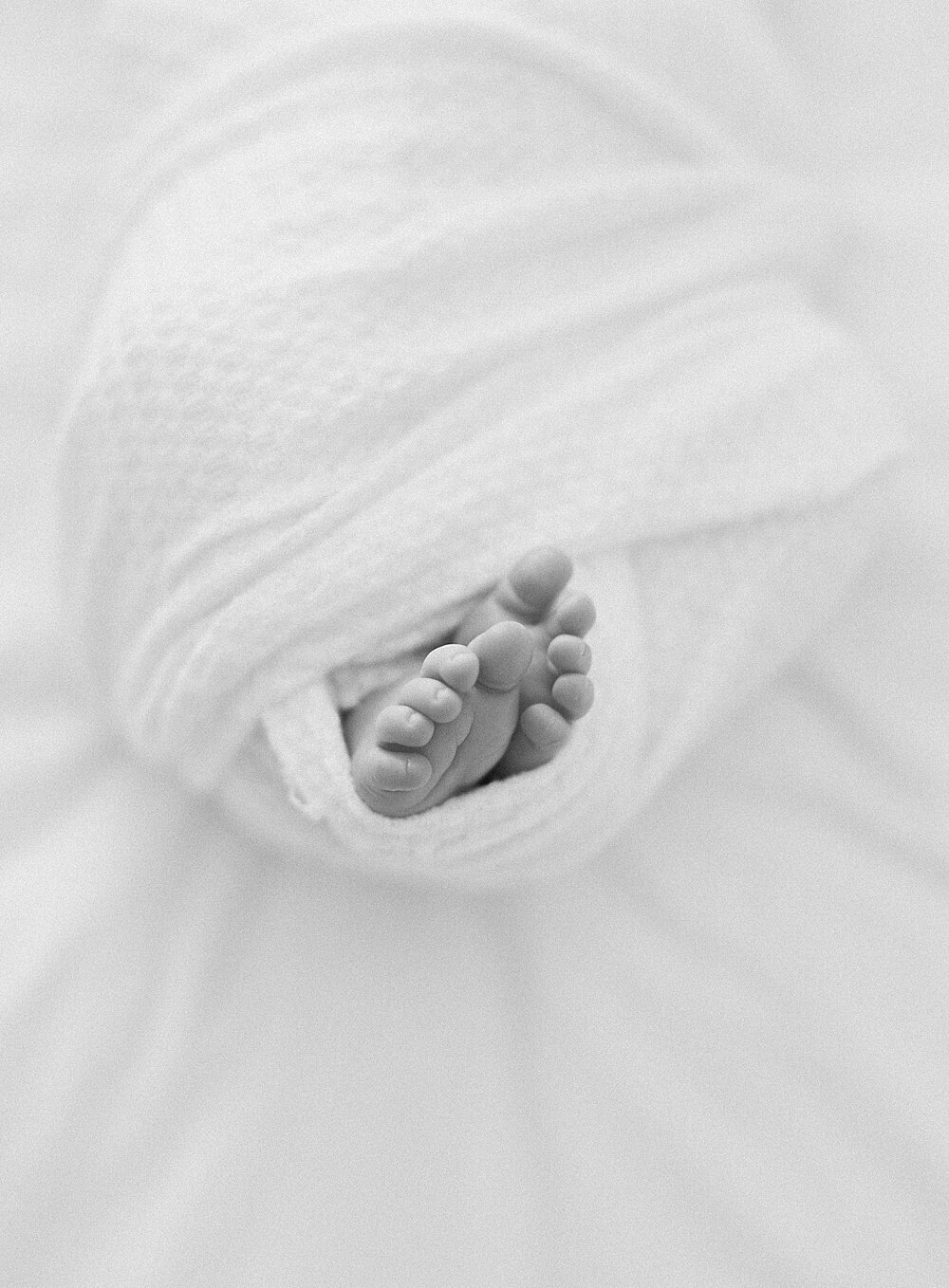 seattle-newborn-photographer-jacqueline-benet_0062