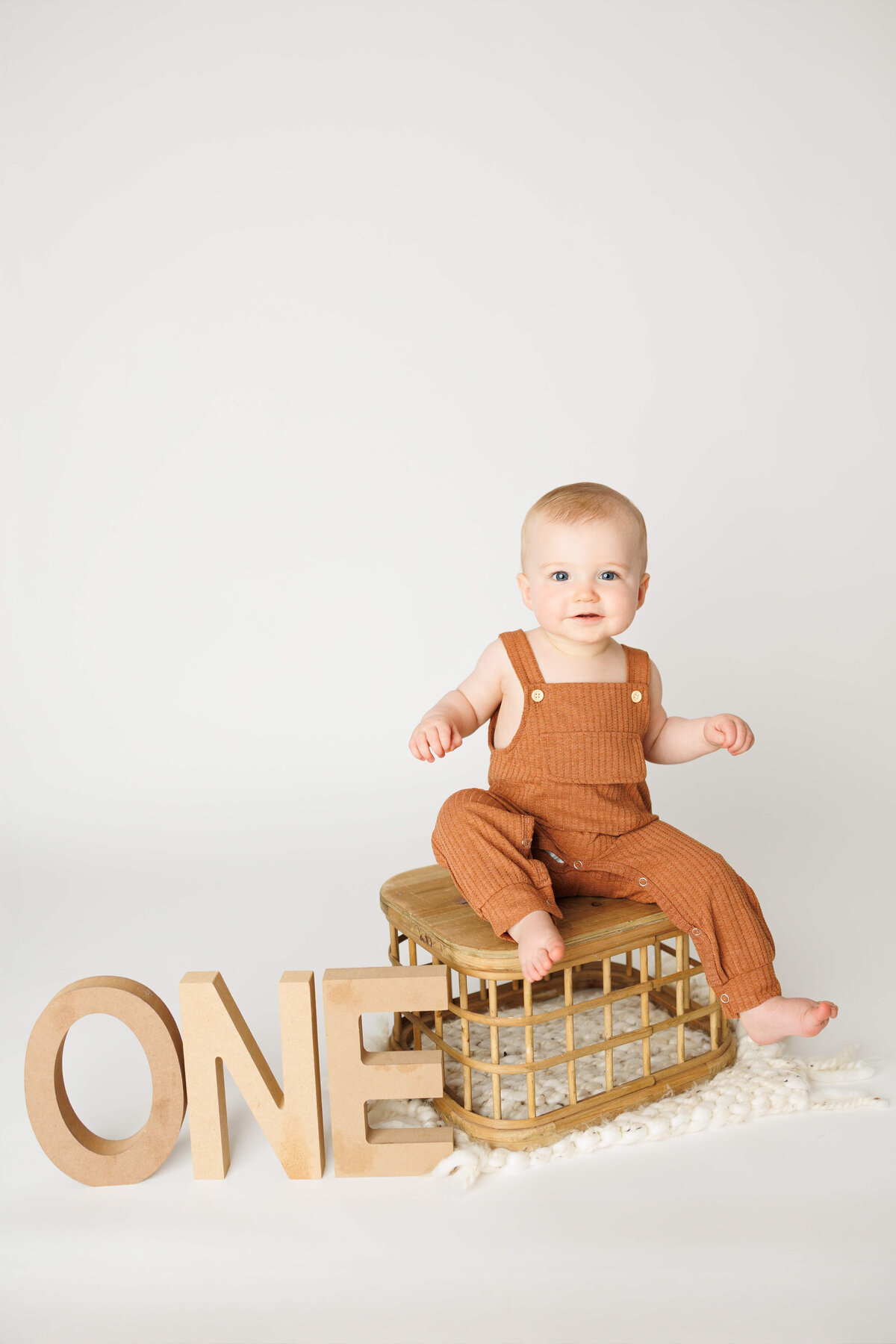 harrisburg-first-birthday-milestone-photography-archie7097-Edit