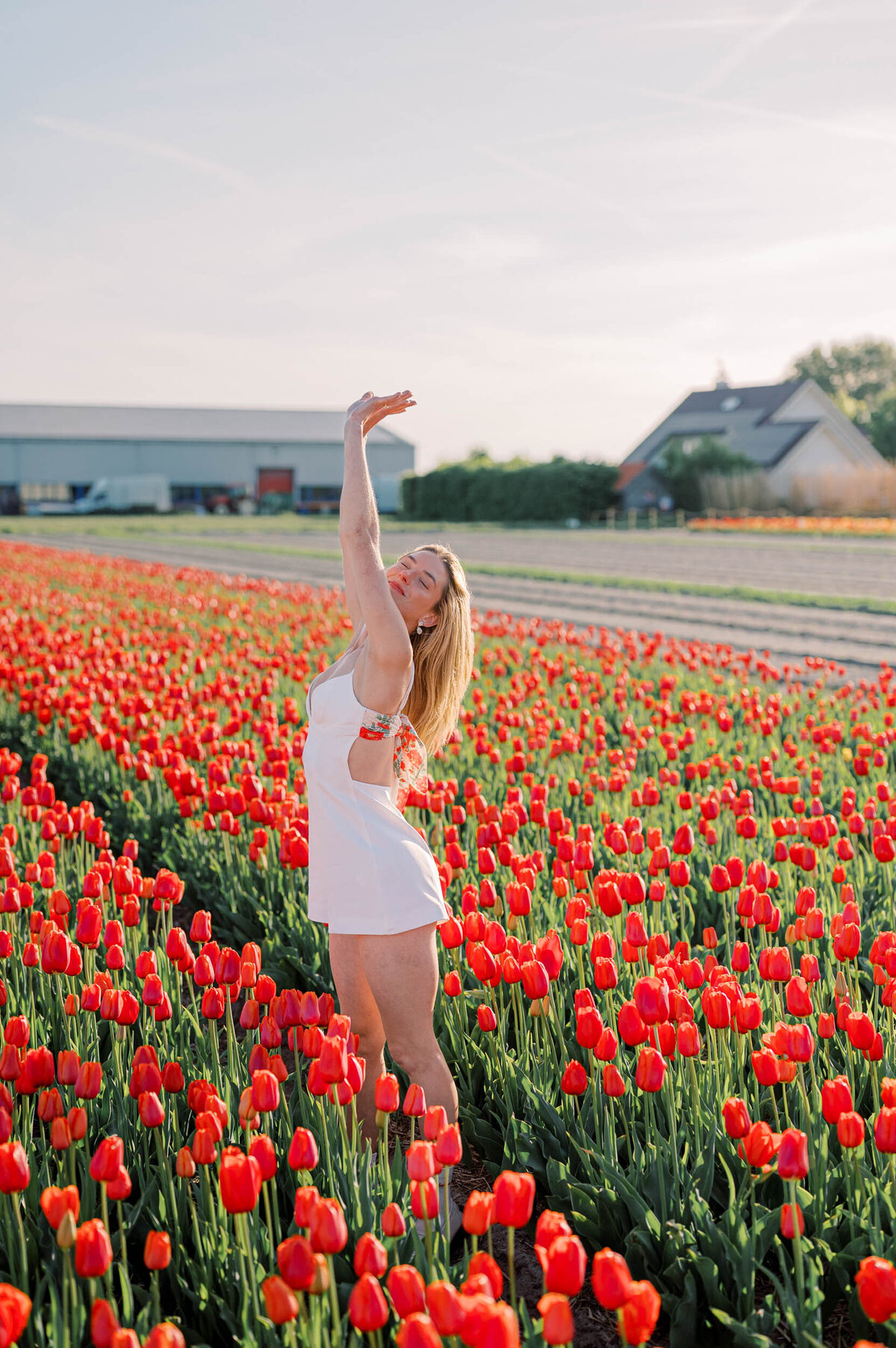 tulip-field-proposal-amsterdam-034