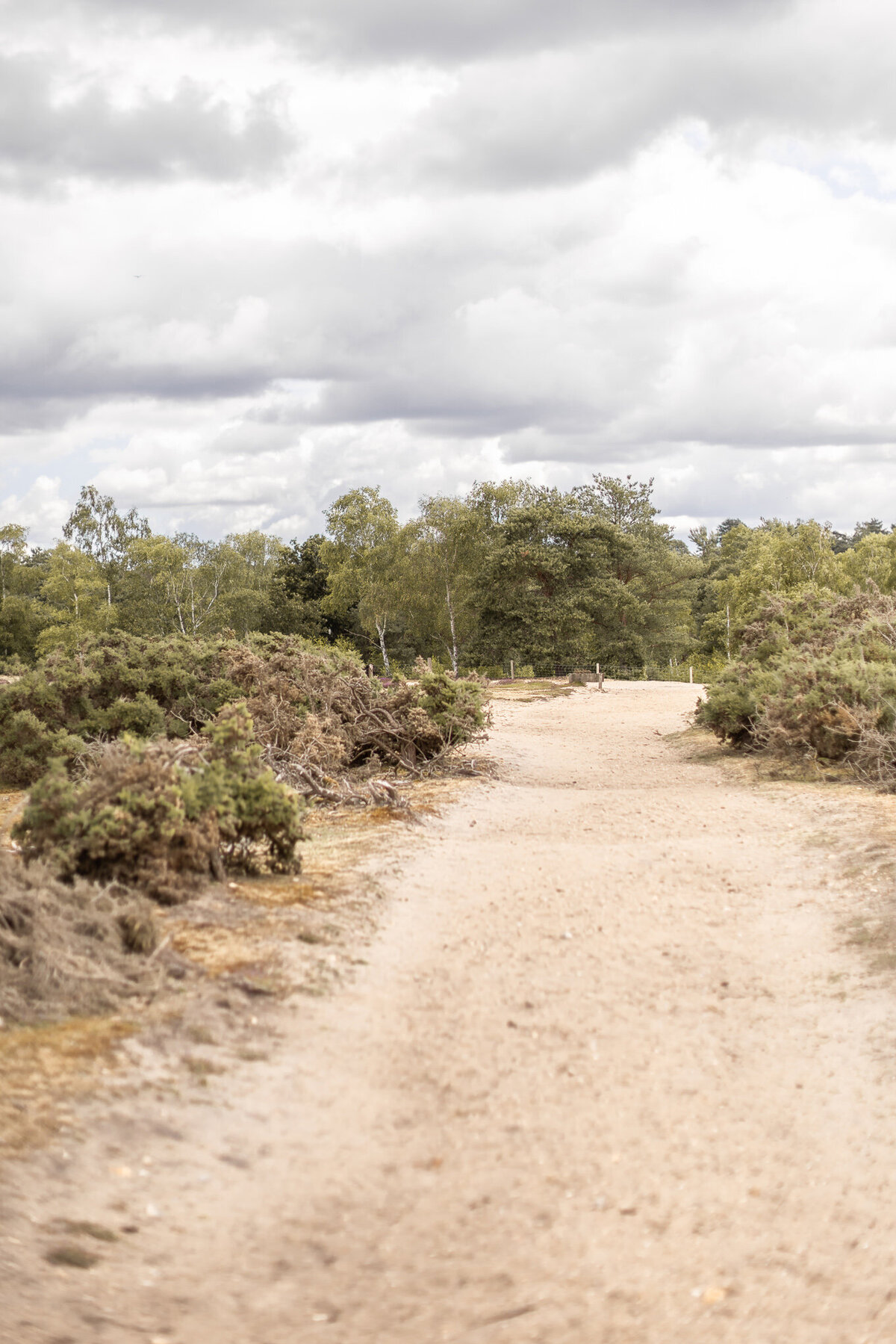 Kayla Stoate photography Engagement Wedding Bride Beach Water On Location Editorial Fine Art Hampshire Berkshire Surrey Frensham Love Story Narrative Natural _92A2957
