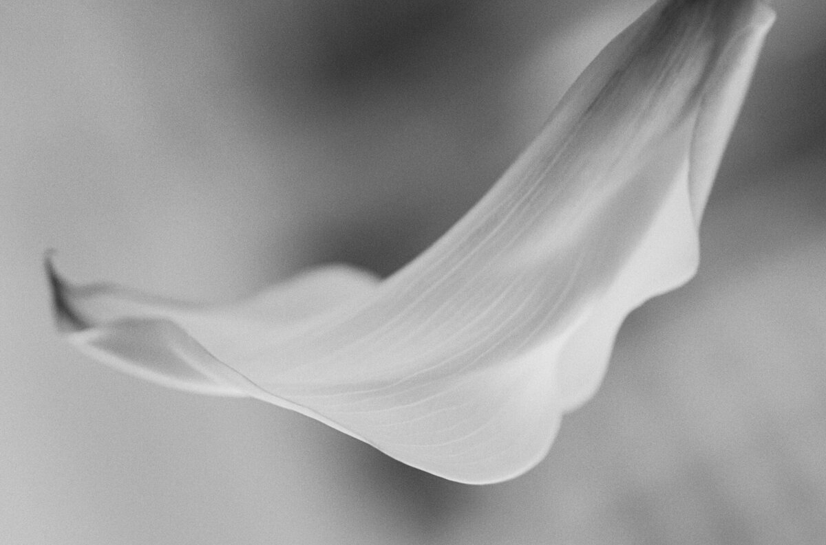 New York Wedding Photographer (17 of 200)