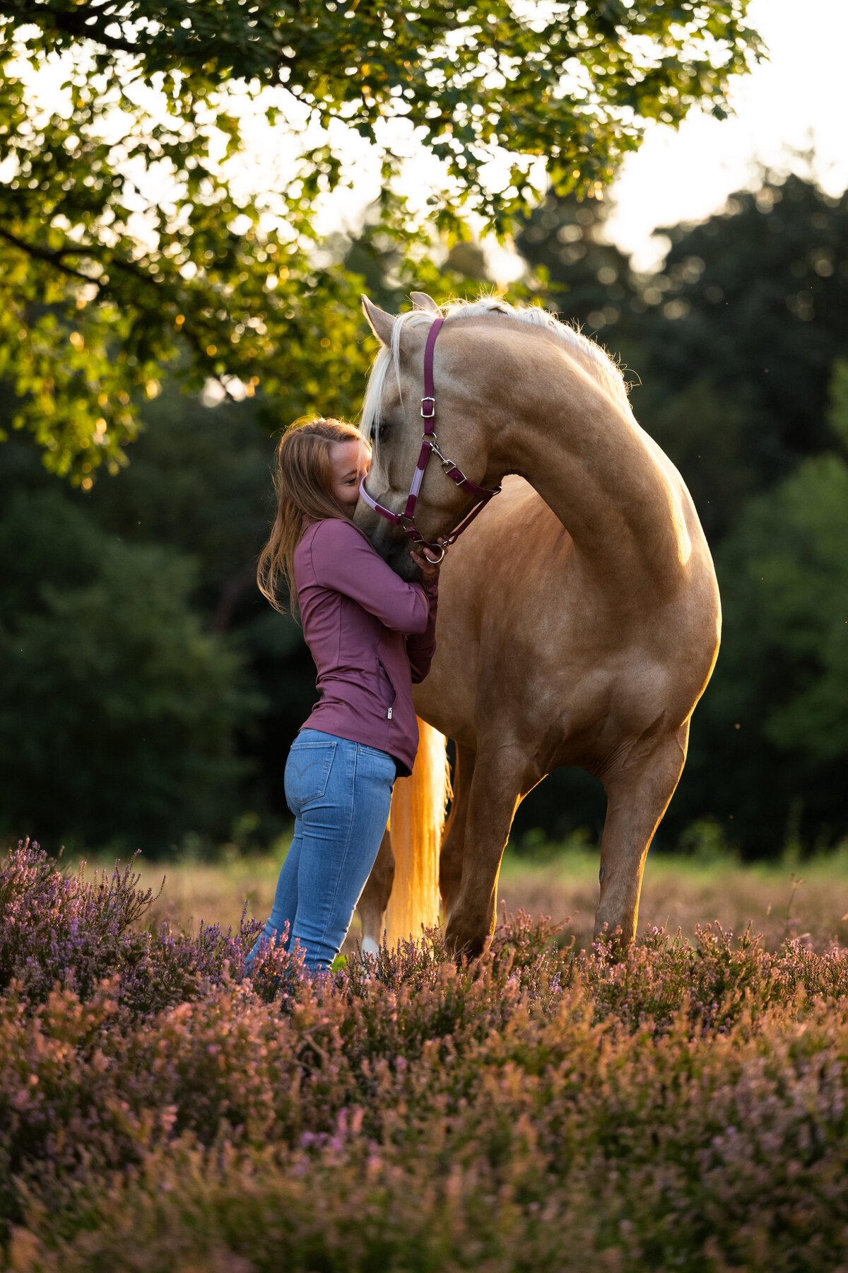 Heide Pferd Frankfurt