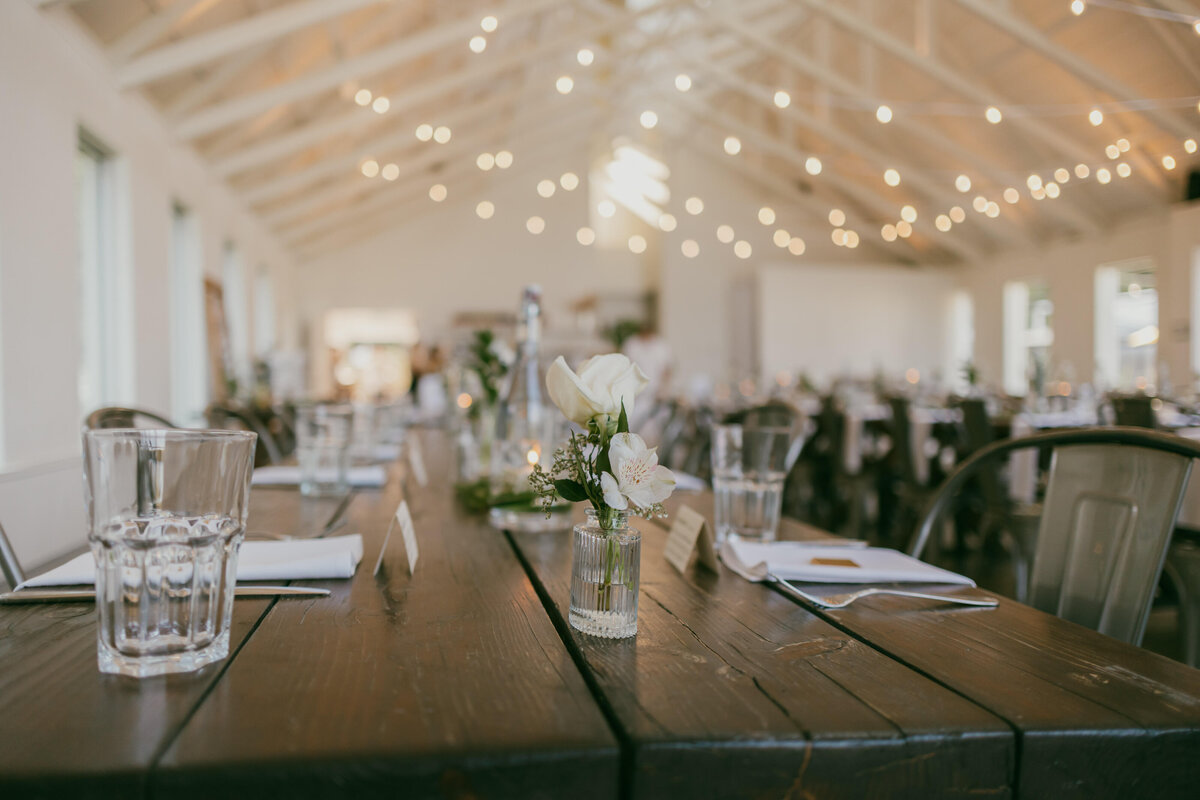 Julia-Justin-Wedding-2024-367