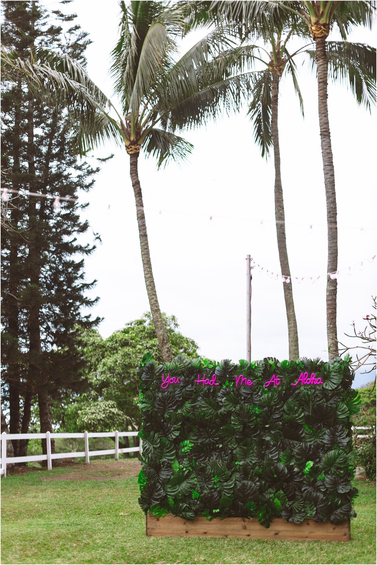 PALIKU-GARDENS-KANEOHE-OAHU-HAWAII-KUALOA-RANCH-WEDDING-65