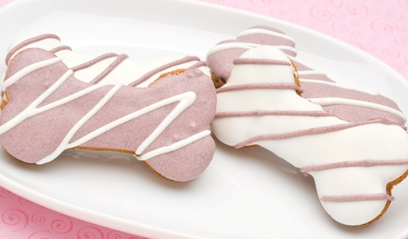 Diva Dog Bakery How to Start a Dog Treat Business from Your Kitchen Launch a Homemade Dog Treat Business20