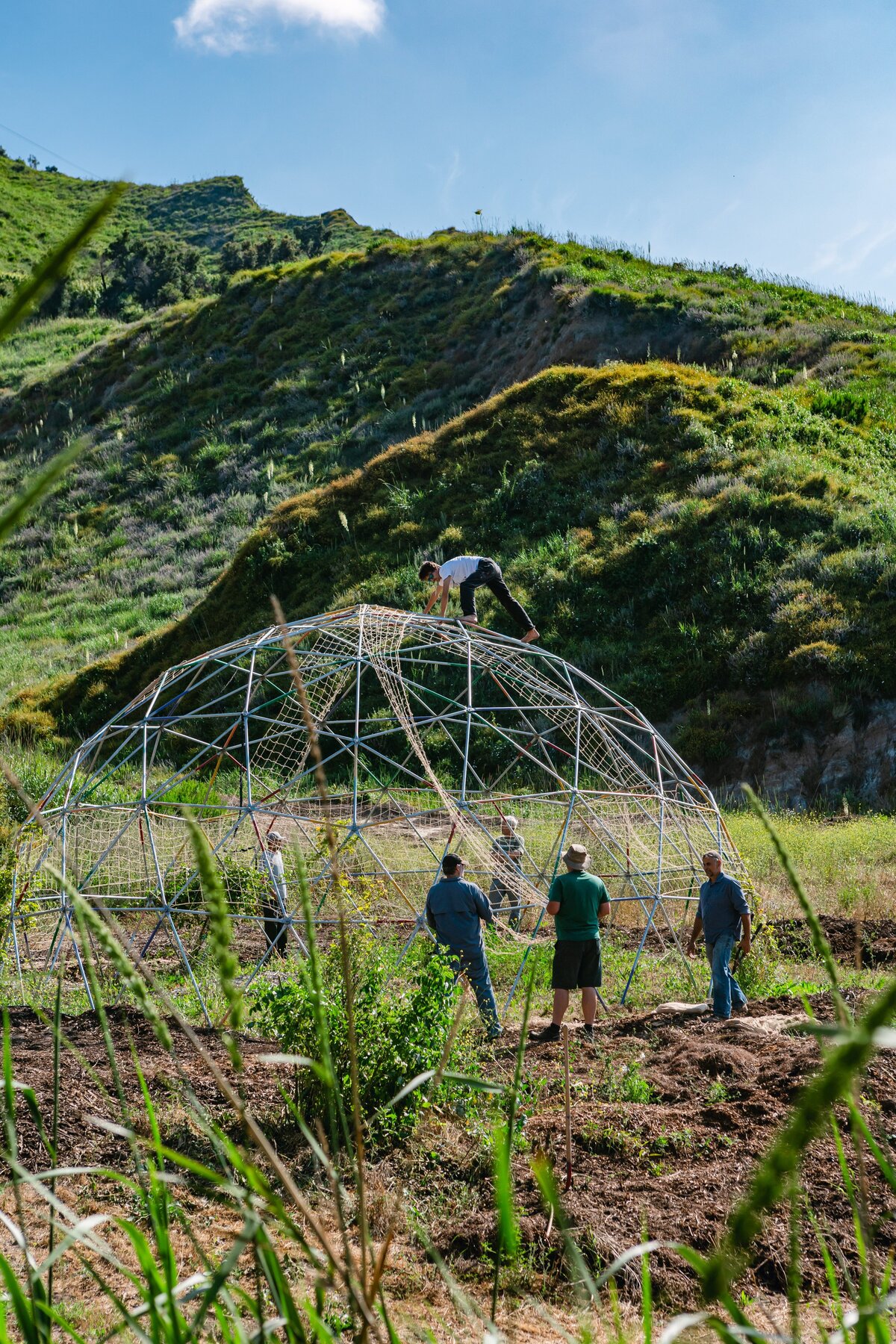 The-Ripe-Org-Farm-Ventura-California-Santa-Paula-Non-Profit-0052