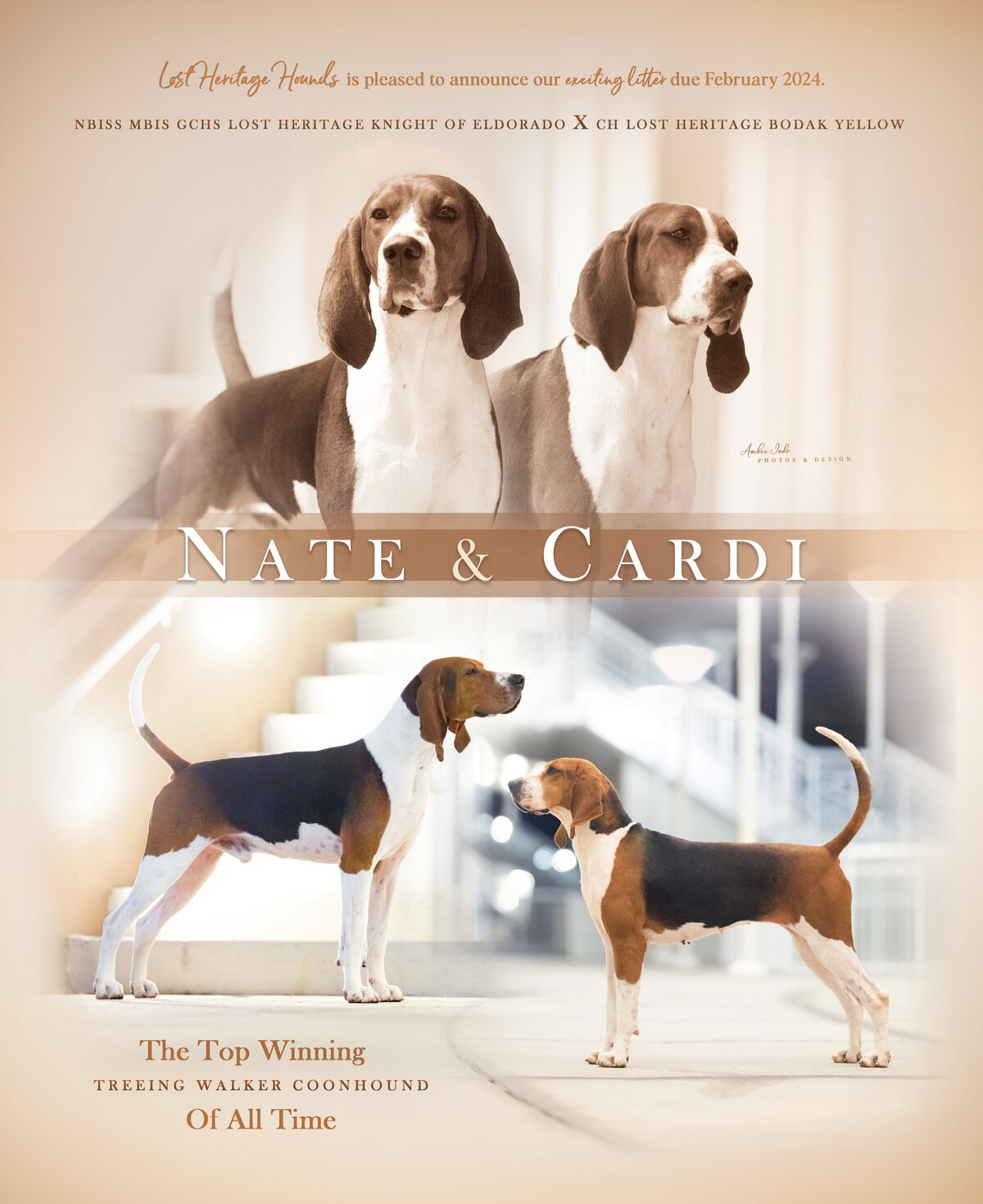 Cole Vanover Litter Ad 2