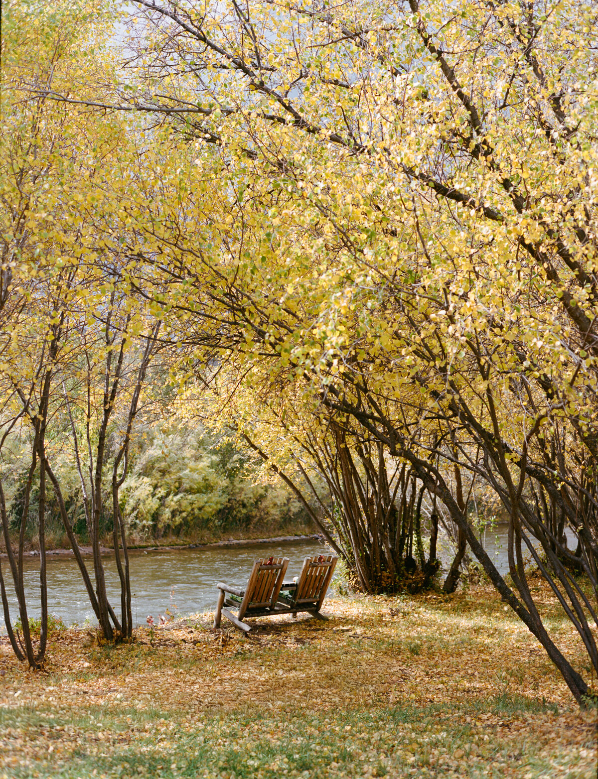 Lauren & Seth Wedding-12