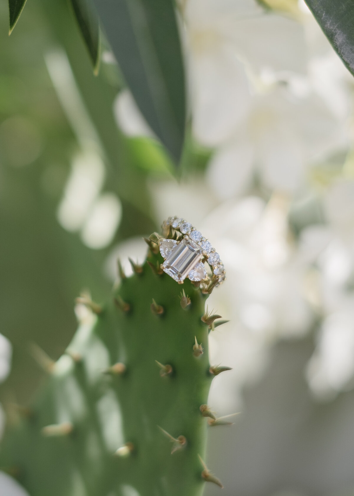 Arizona-Andaz-Resort-Scottsdale-Wedding-Photos-Annette-Ambrose-Photography-95