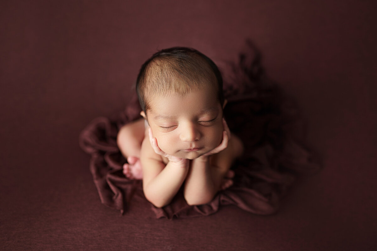 st johns  newborn photographer, newborn portraits