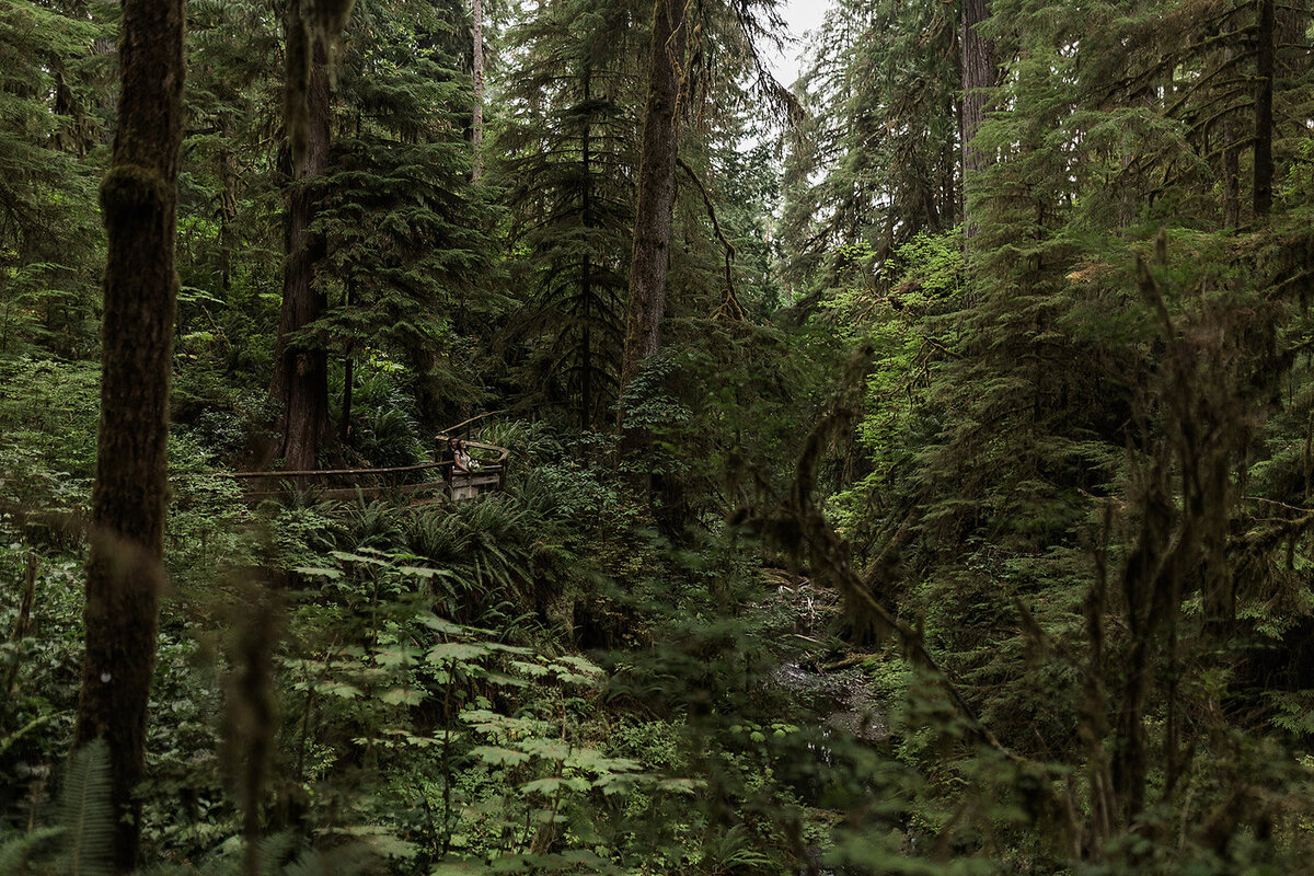 Olympic National Park Elopement  - Tara Nichole Photo - 2023 - Kyle and Keaton-153
