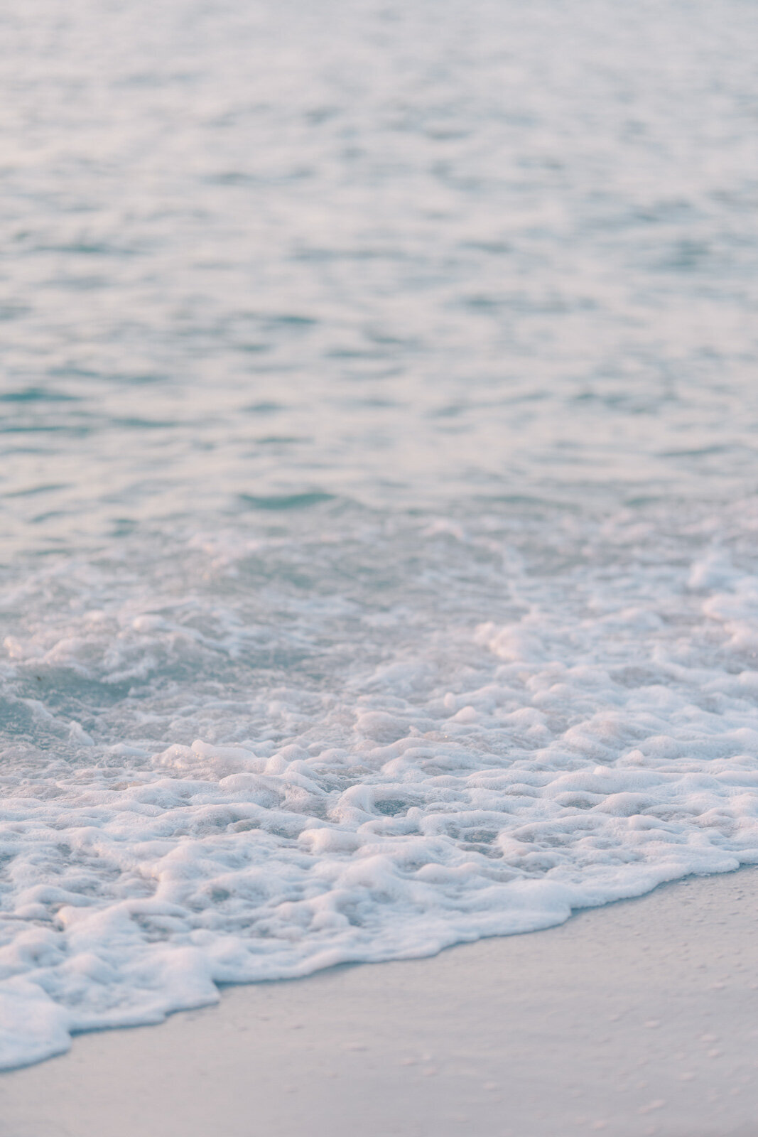 Elena and Aashish Gasparilla Inn Boca Grande Engagement Website x1600 (71 of 84)