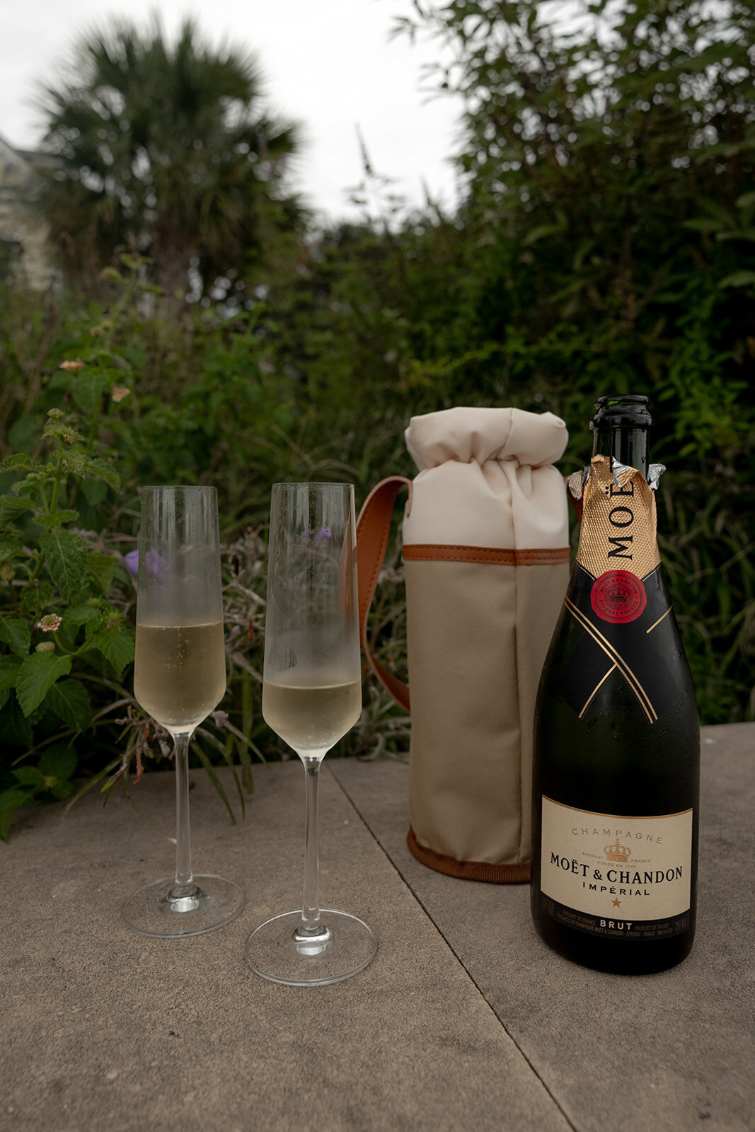 A open bottle of moet and chandon and two filles glasses for engagement photo session. Greenery in background
