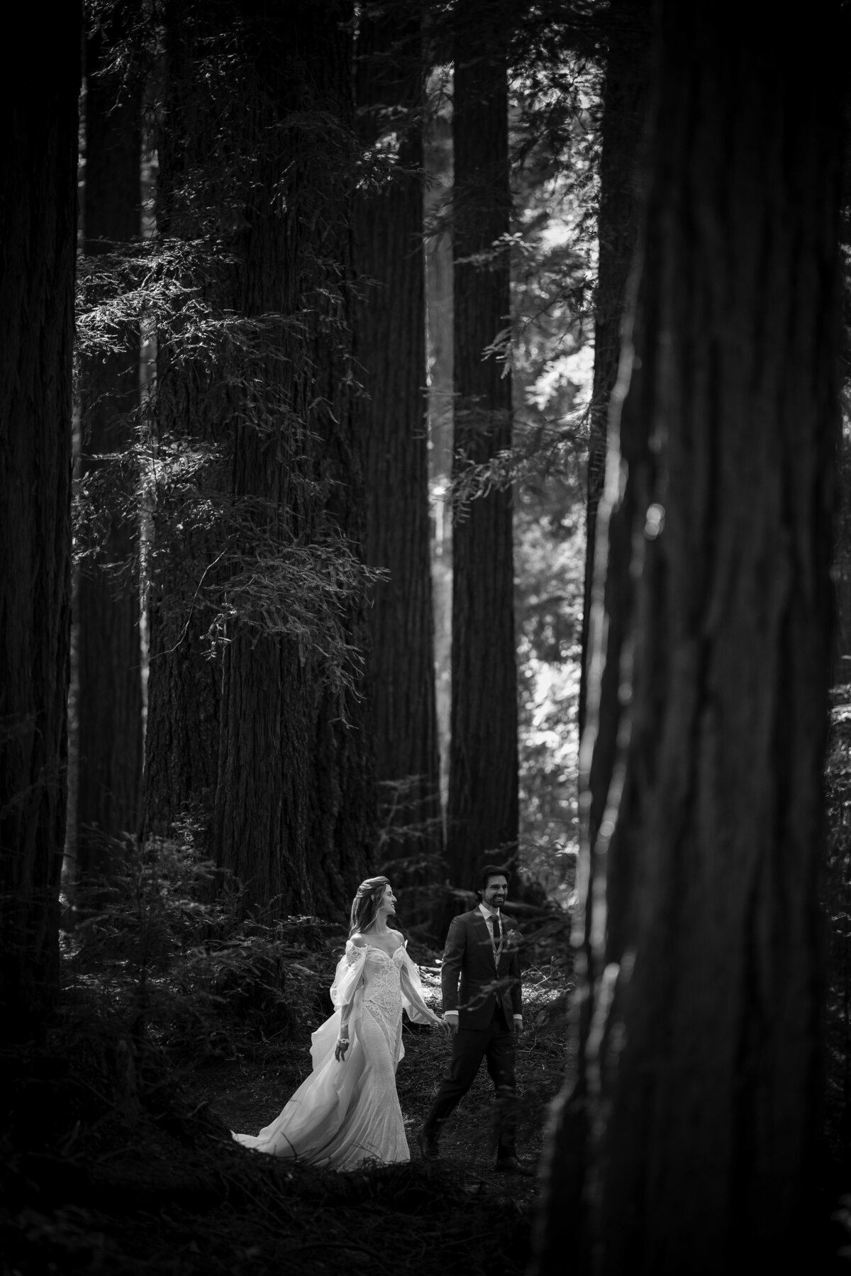 A couple walks amidst the redwoods at a destination wedding at Nestldown in Los Gatos, California