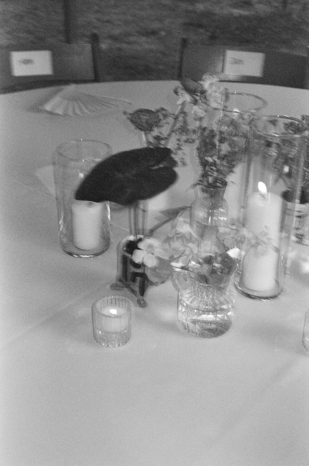 intimate-backyard-wedding-columbia-missouri00016