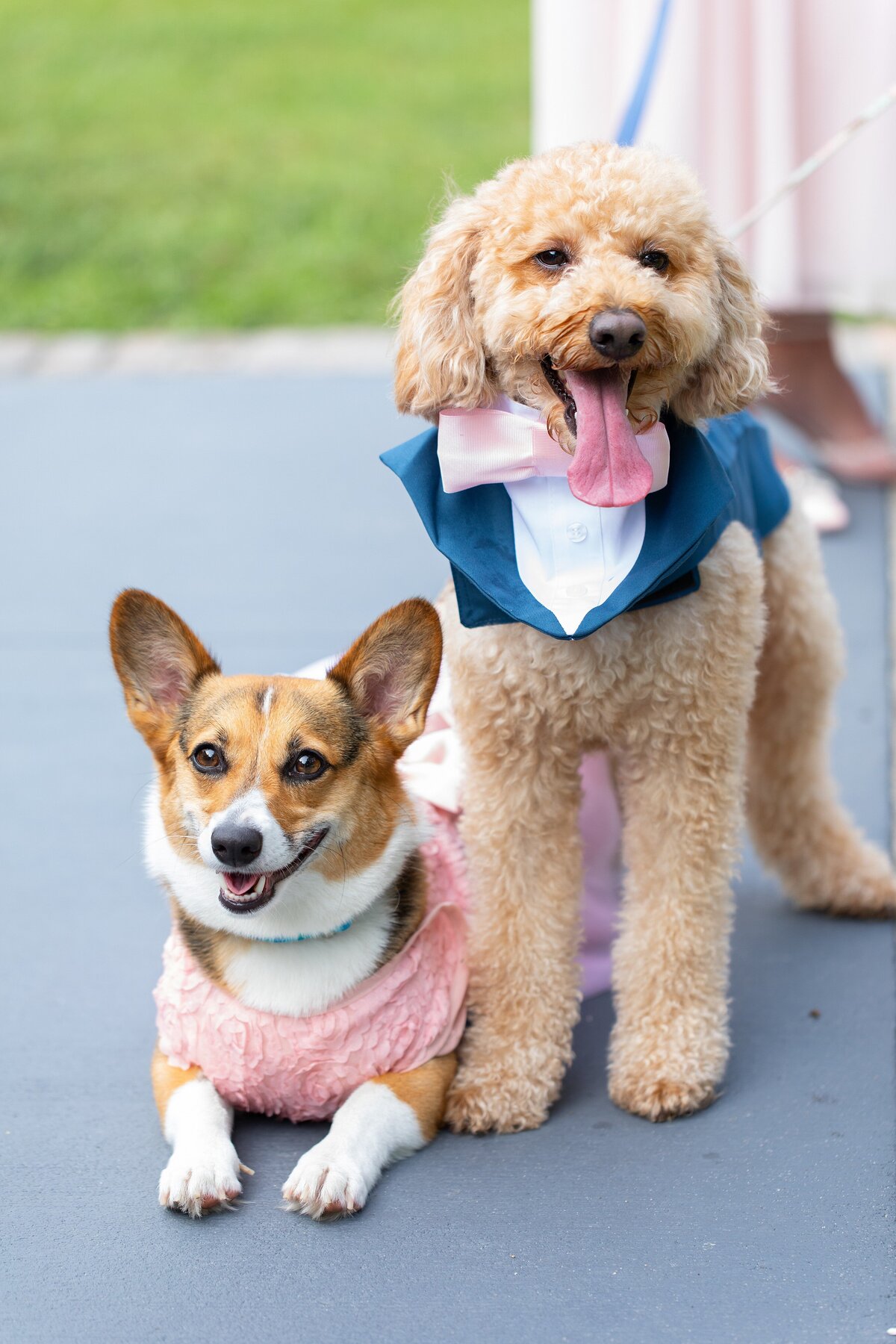 Kimberly + Jacob Wedding - 4 Couple Portraits 35 of 105