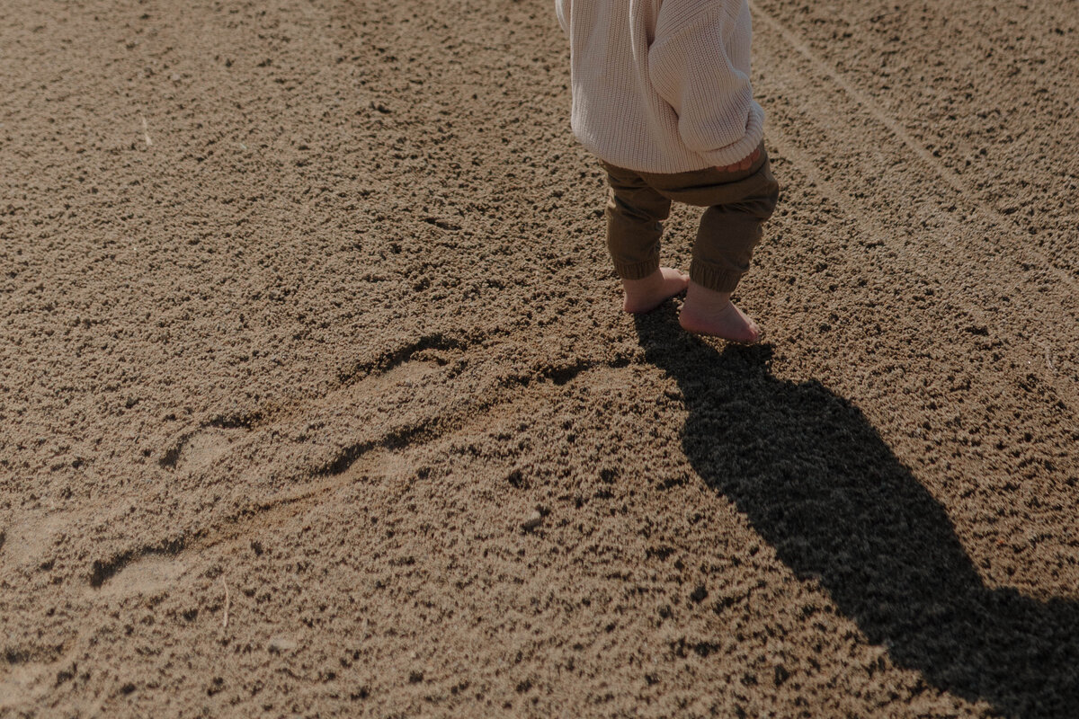Minnesota Family Photographer-3