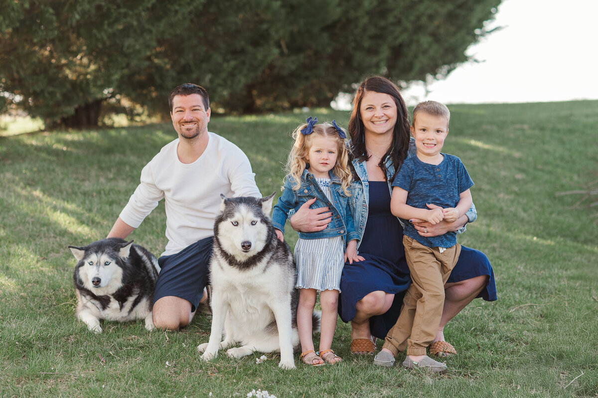 family kneeling down in the grass together with their two huskies by lancaster pa photographer