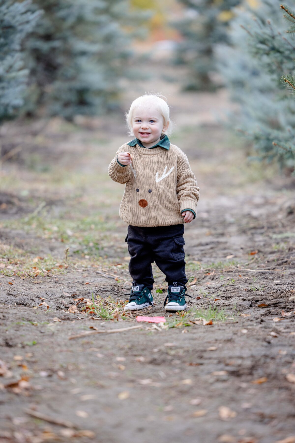 Utah-County-UT-Christmas-Tree-Farm-Mini-Session-Magnolia-and-Grace-Photography-Co-AshbyilyinJ-# (1)-20