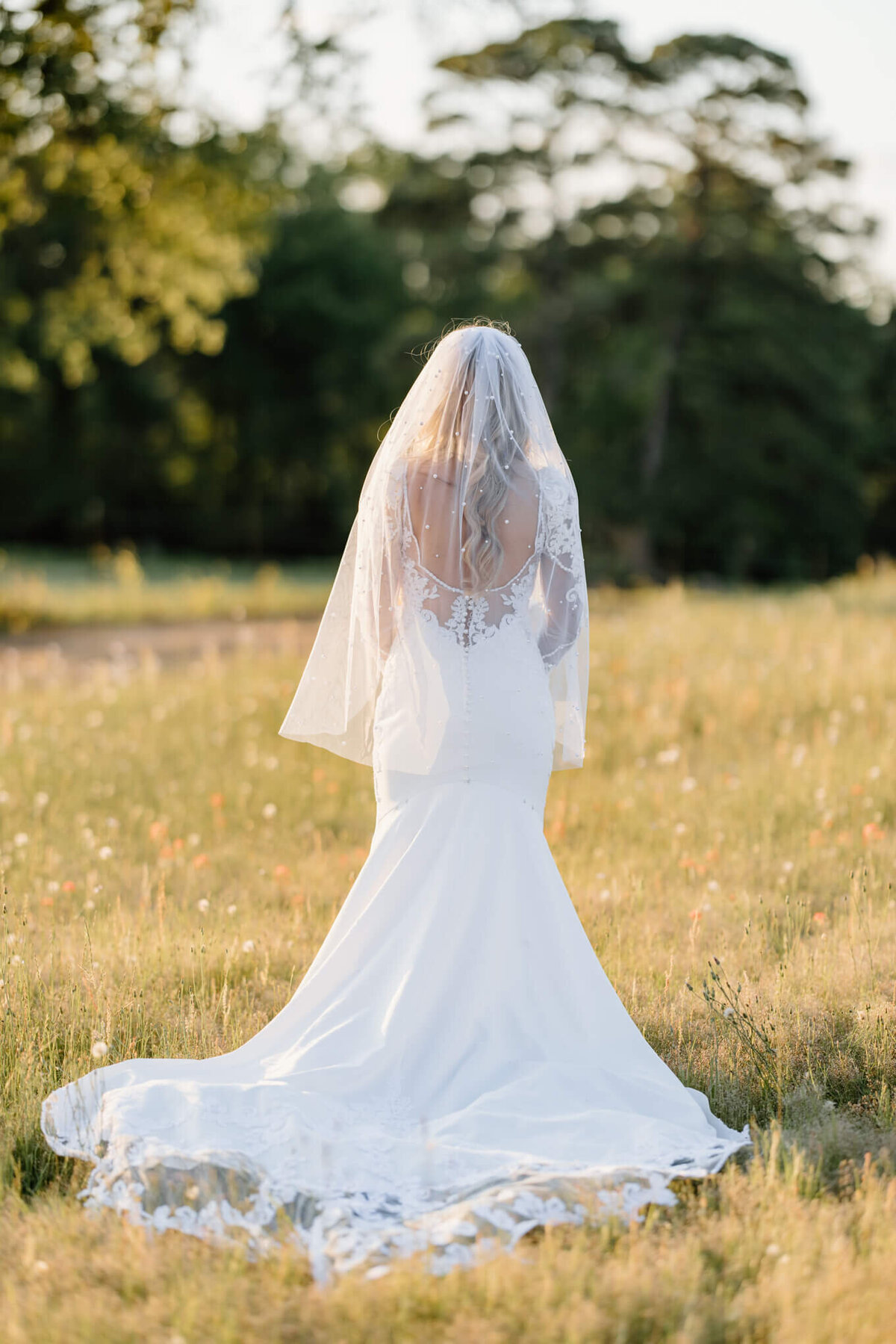bridal portrait of the back of bride's wedding gown while bride is standing in a field of wildflowers after wedding ceremony