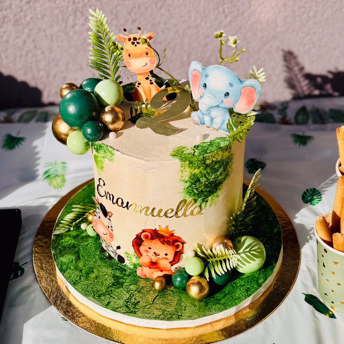 backyard-kids-2nd-birthday-jungle-theme_2823