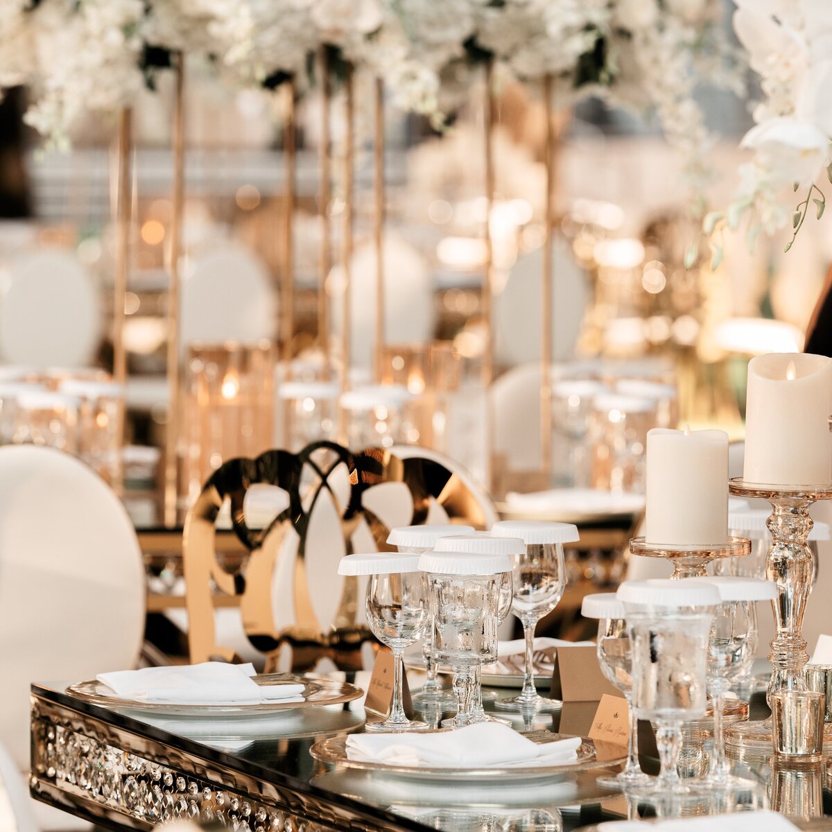 Sneak Peek - Shawn  Nasim-91-DSC08720 (2)