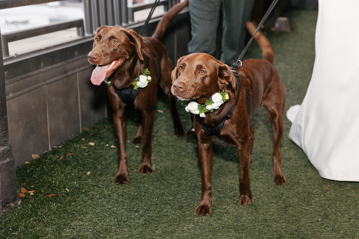 calandra-sneak-peek-105