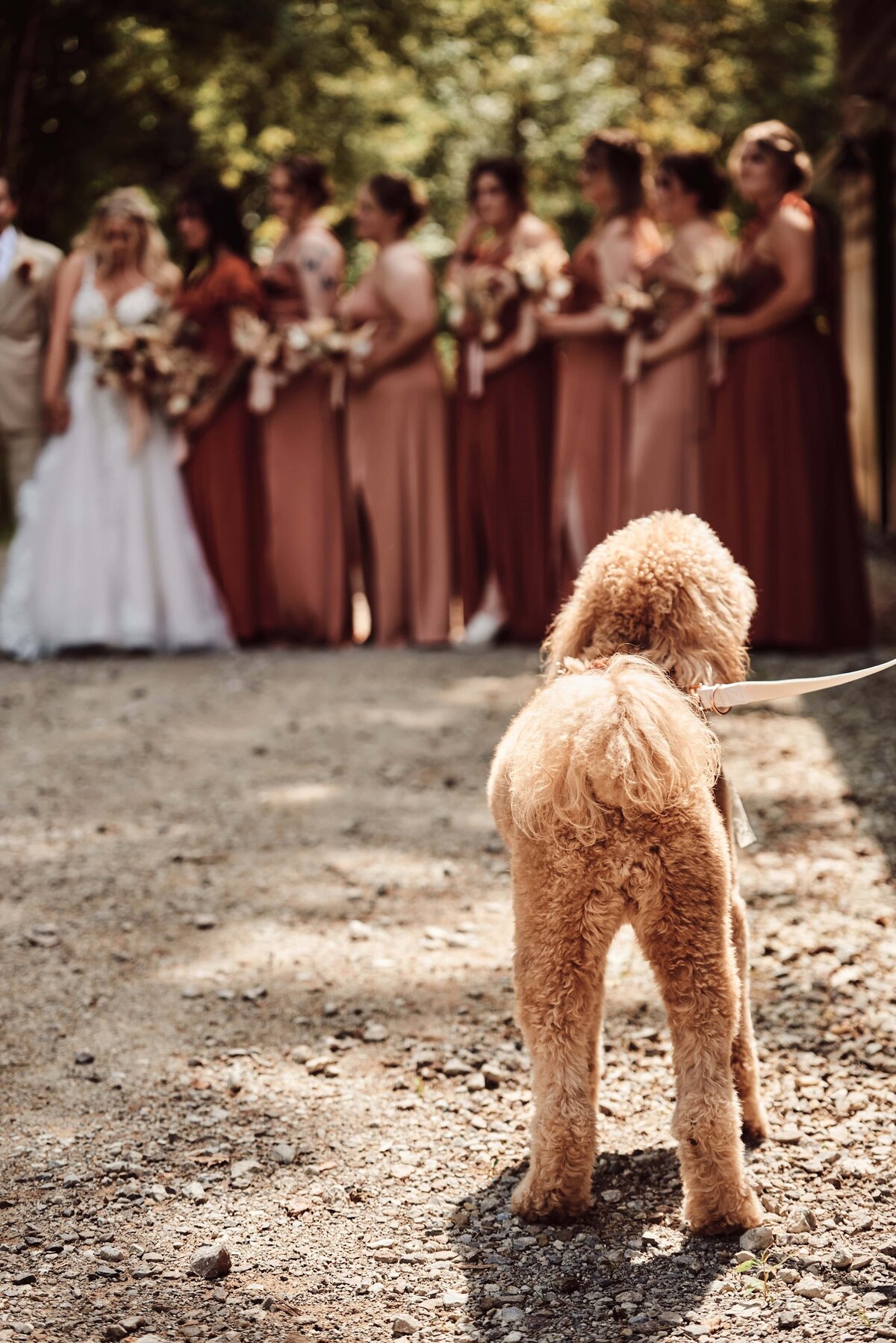 Celestial Farms Weddings and Events Clio, Michigan Wedding_83