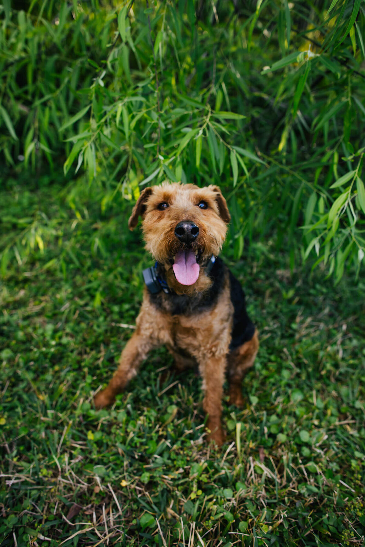 Family-Portraits-Wilton-Manors-6