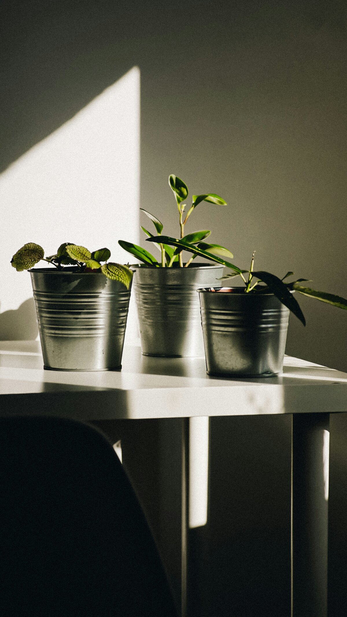 cristi-ursea-3LQQtlasSzc-unsplash