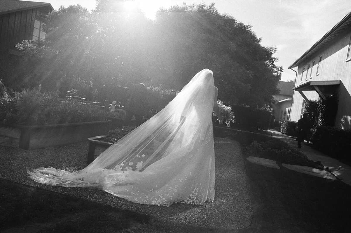 DT-2025-Celine & Gabe Highlights-81