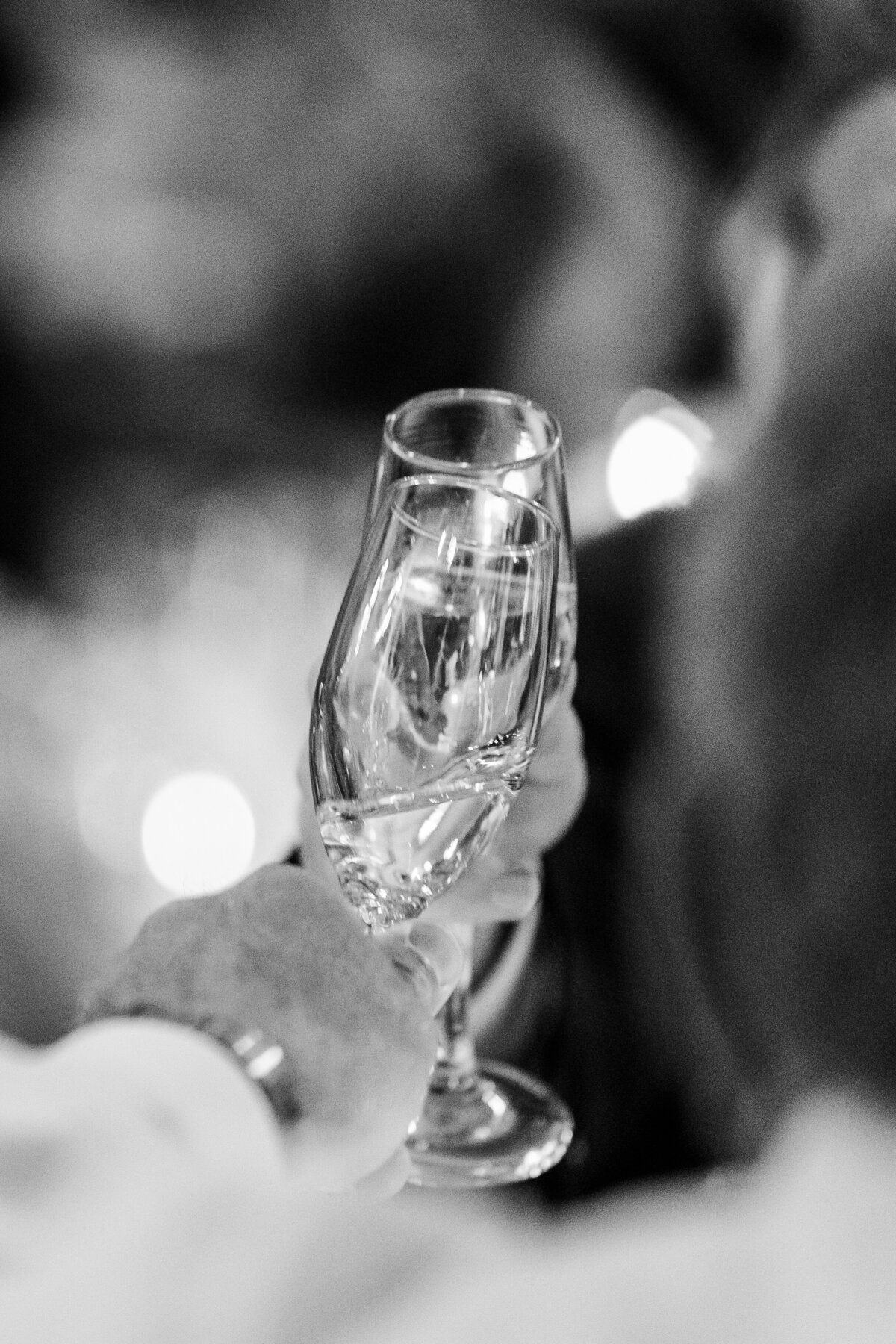 Alexis Fox Photography + Summer + Wedding + Indianapolis Arts Garden (54 of 58)