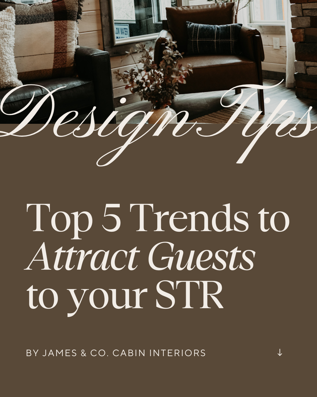 Liberty Type Branding and Website Design Agency Knoxville, Tennessee Therapist Brand Therapist Branding Chiropractor Brand Chiropractor Branding Doctor Brand Doctor Branding Nutritionist Brand Nutritionist Branding Interior Designer4