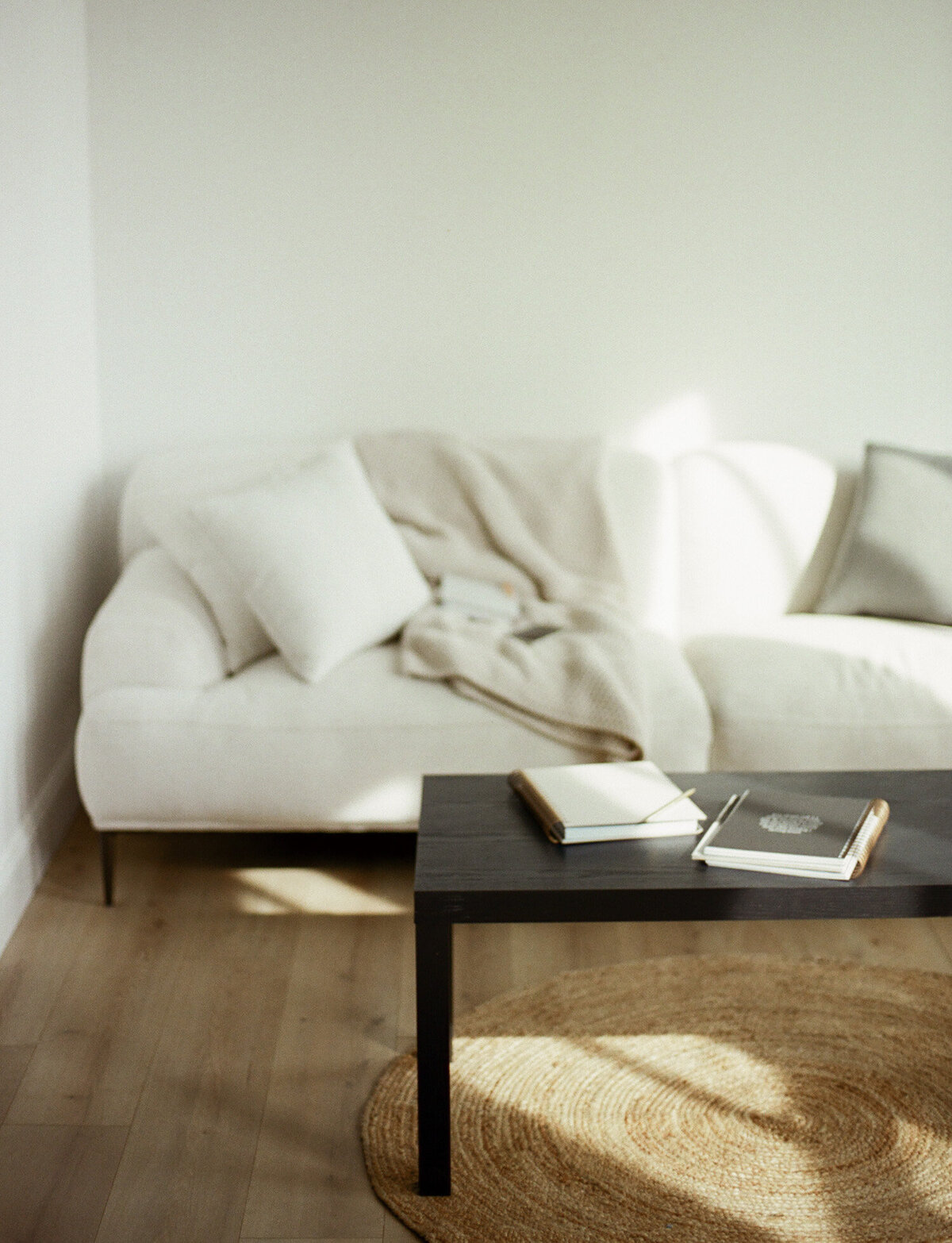soft film branding photo, beige linen couch in natural light studio space, Michigan, Ohio