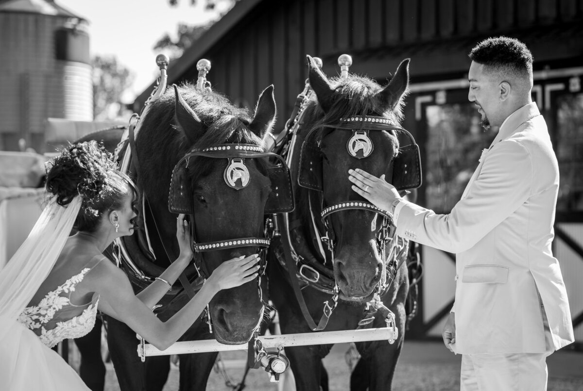 The-Revere-Venue-Receptioin-couple-with-horses