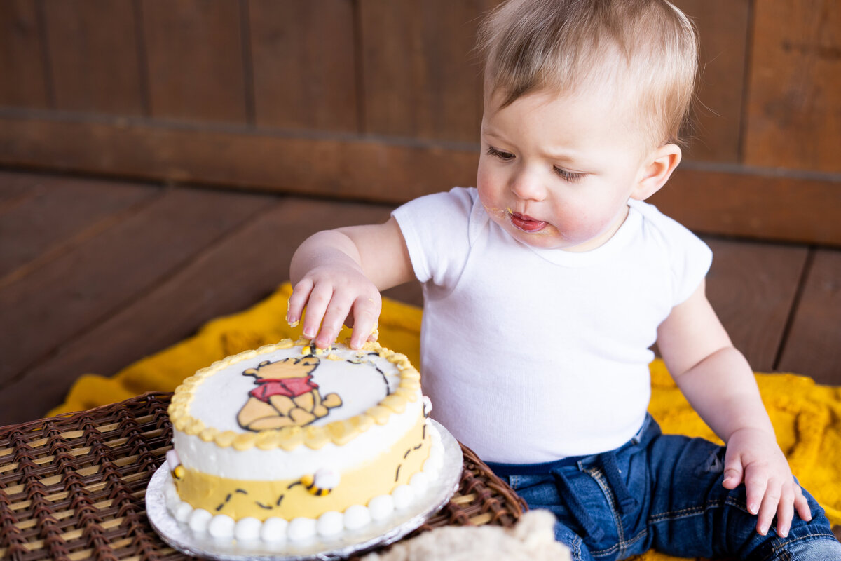 first birthday cake smash session Cleveland