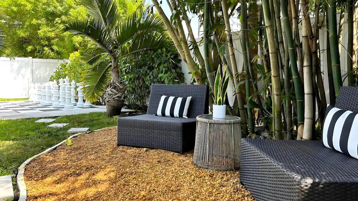 Backyard (7)