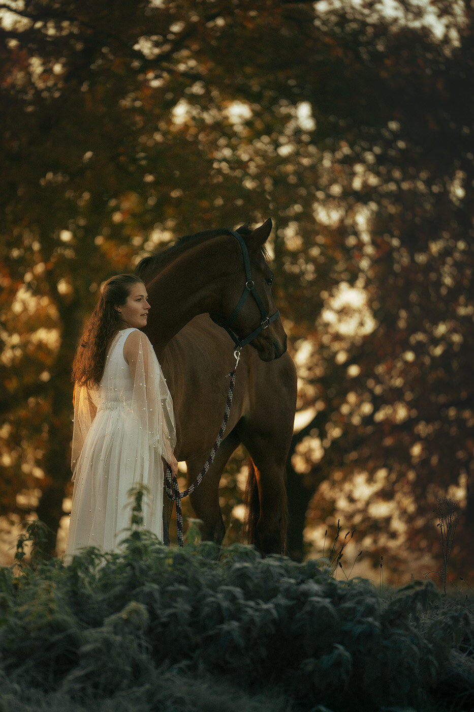 Bekijk mijn portfolio, paarden fotoshoots vol afwisseling.