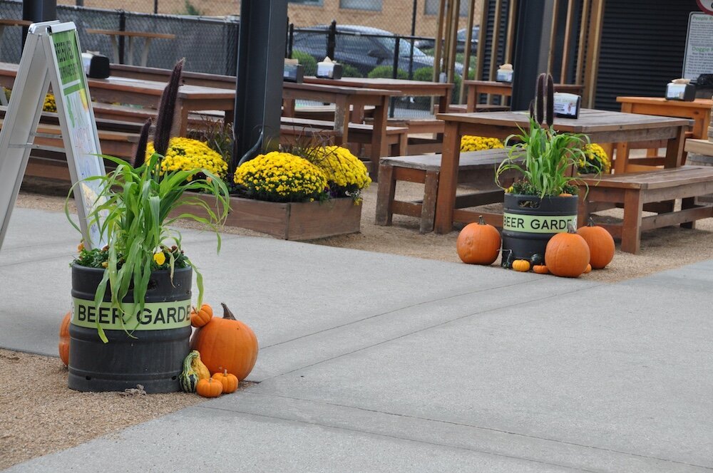 Commercial landscape company project in Kansas City: seasonal flowers showcase
