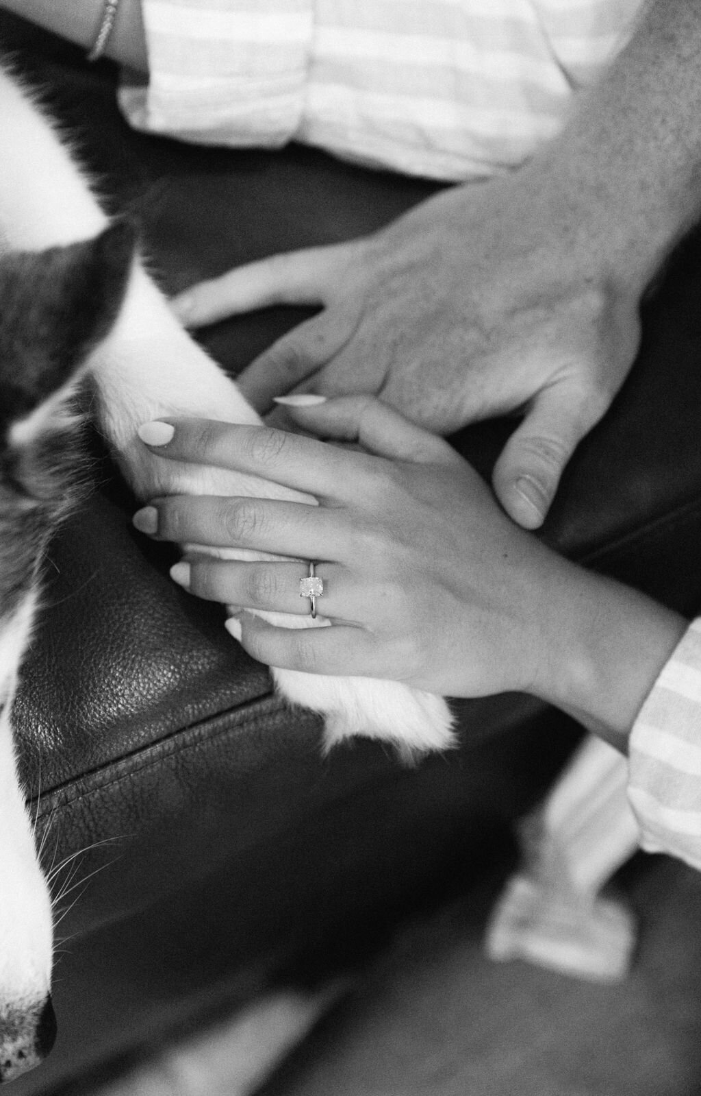 Mt-Falcon-West-Engagement11
