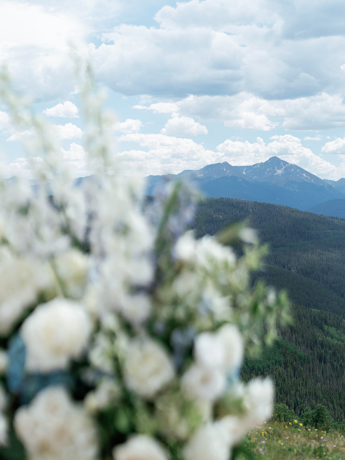 LaurenCorbinWeddingPreviews44