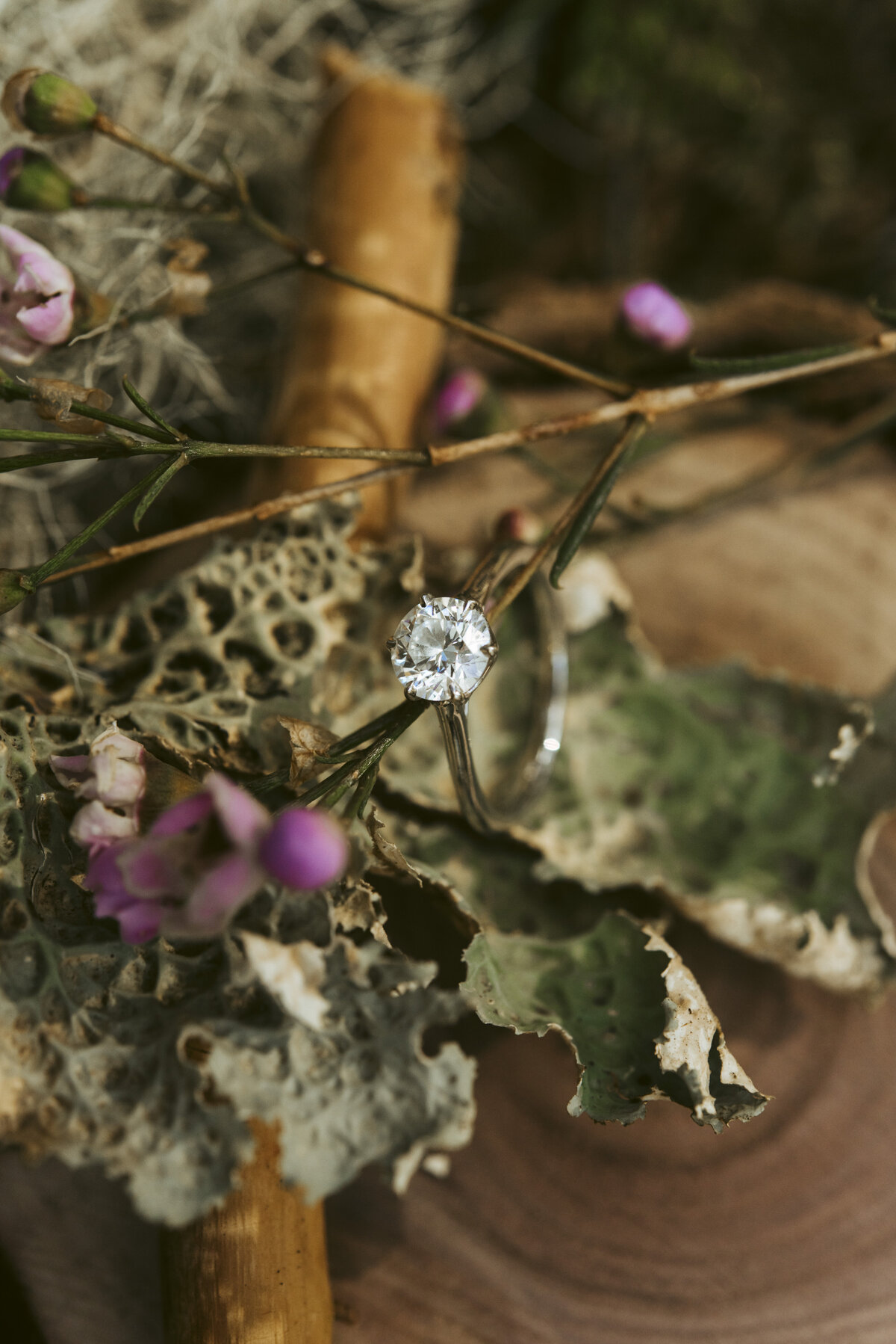 _1_Alena&Joe_Engagement_-2-2