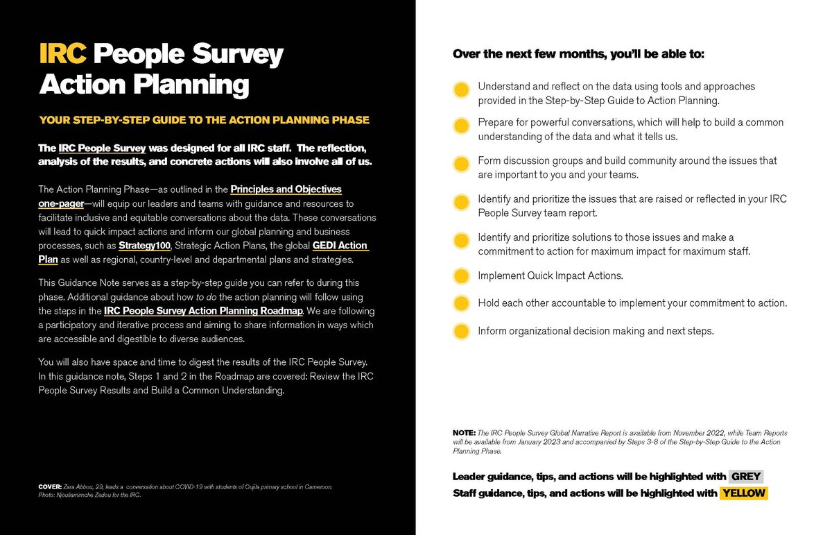 IRC People Survey Action Planning PDF_Page_2