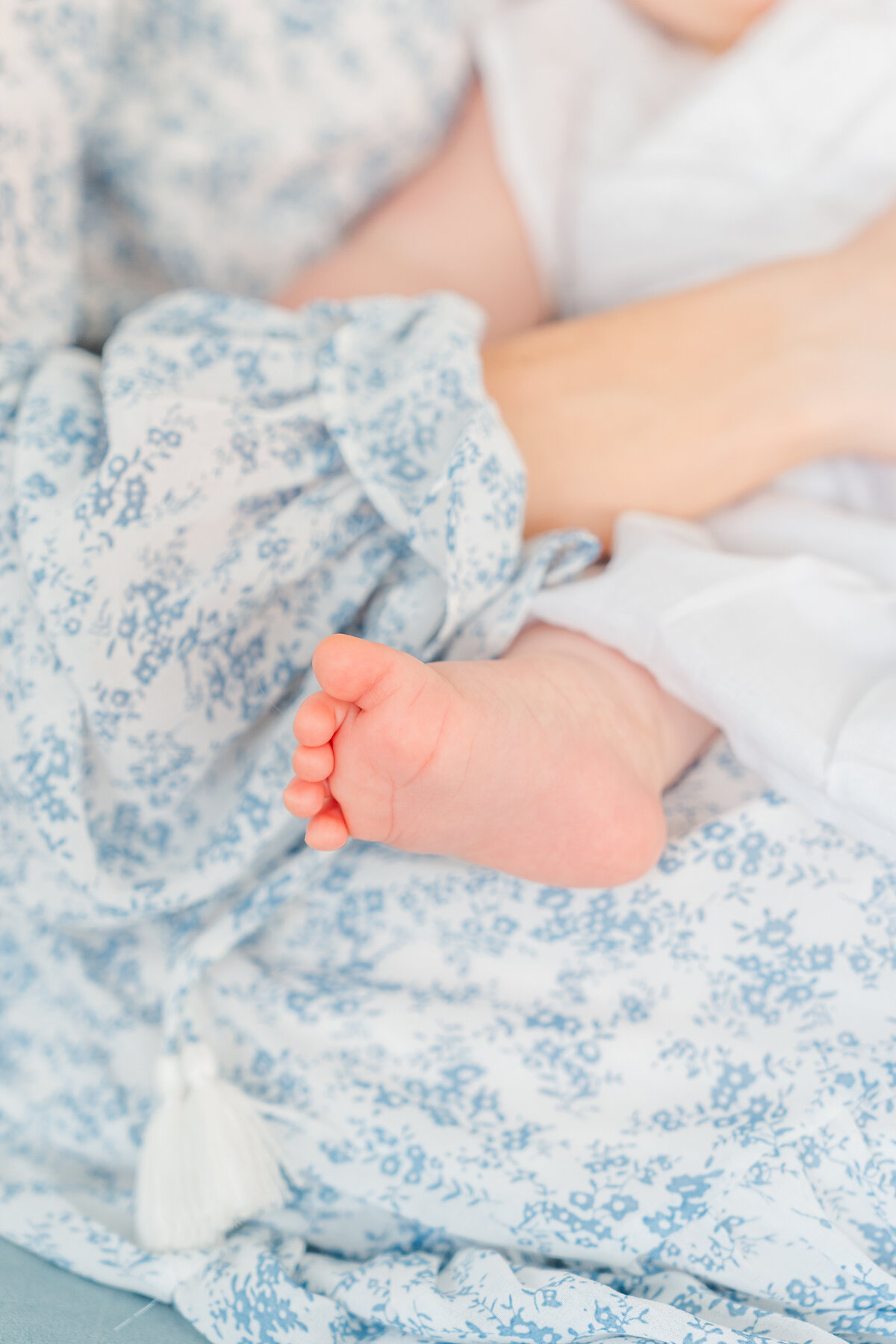 timeless studio one year girl pictures light and airy colorado family photographer elena spraguer photography 0063