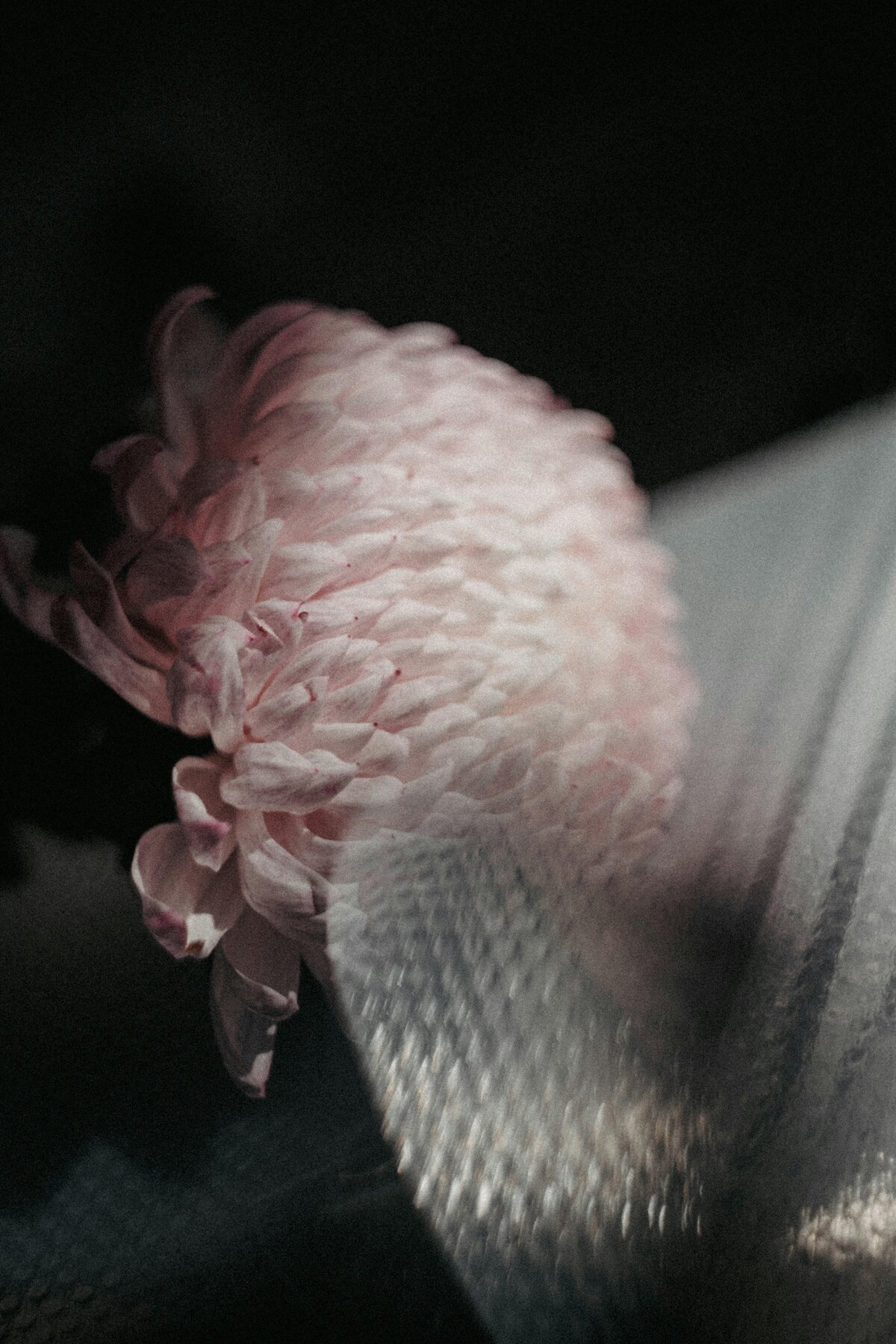 pexels-84330351-14438884