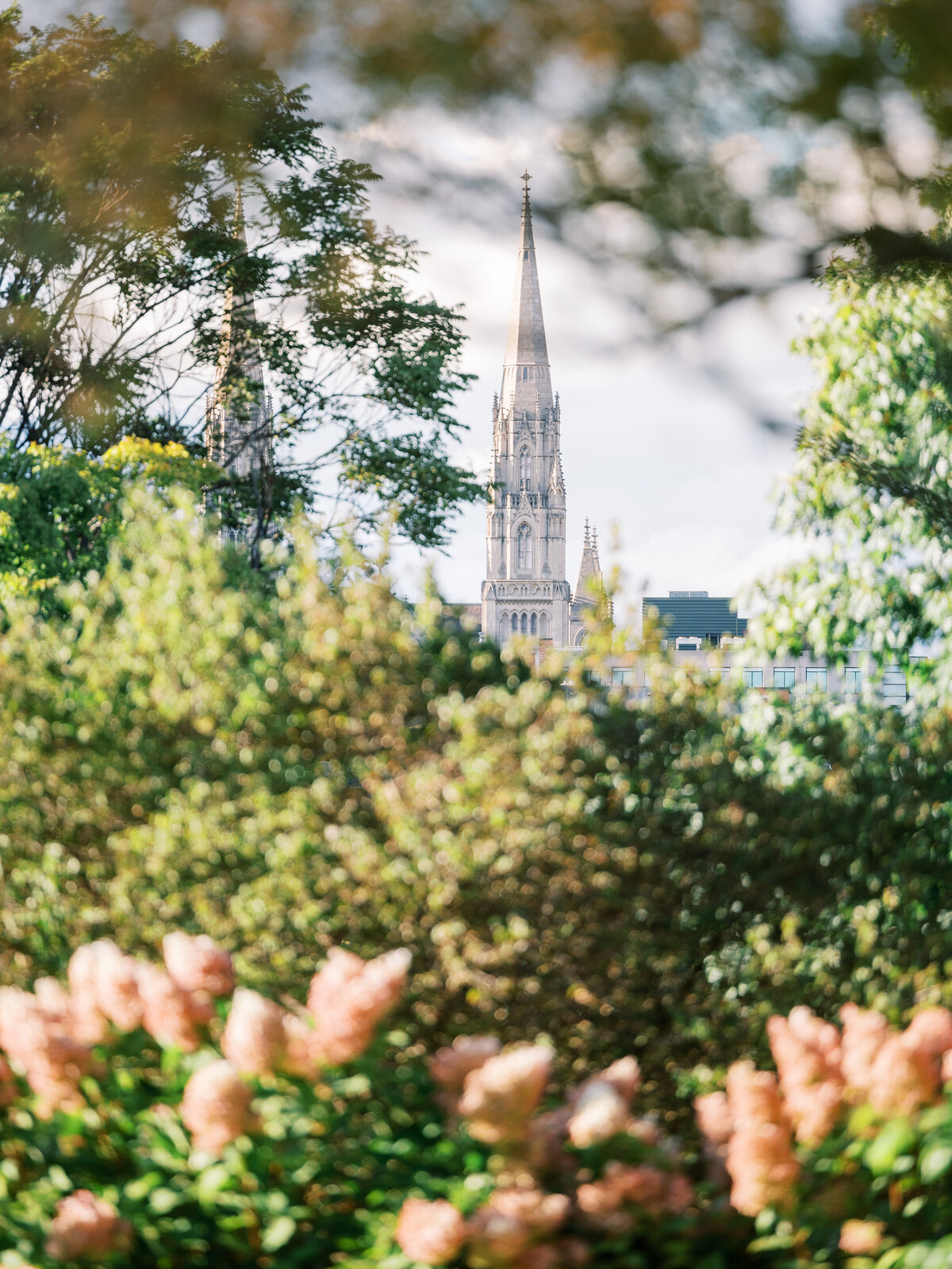 pittsburgh-wedding-photographer-phipps-botanic-gardens-conservatory-wedding-outdoor-lgbtq-luxury-photography-light-and-airy26