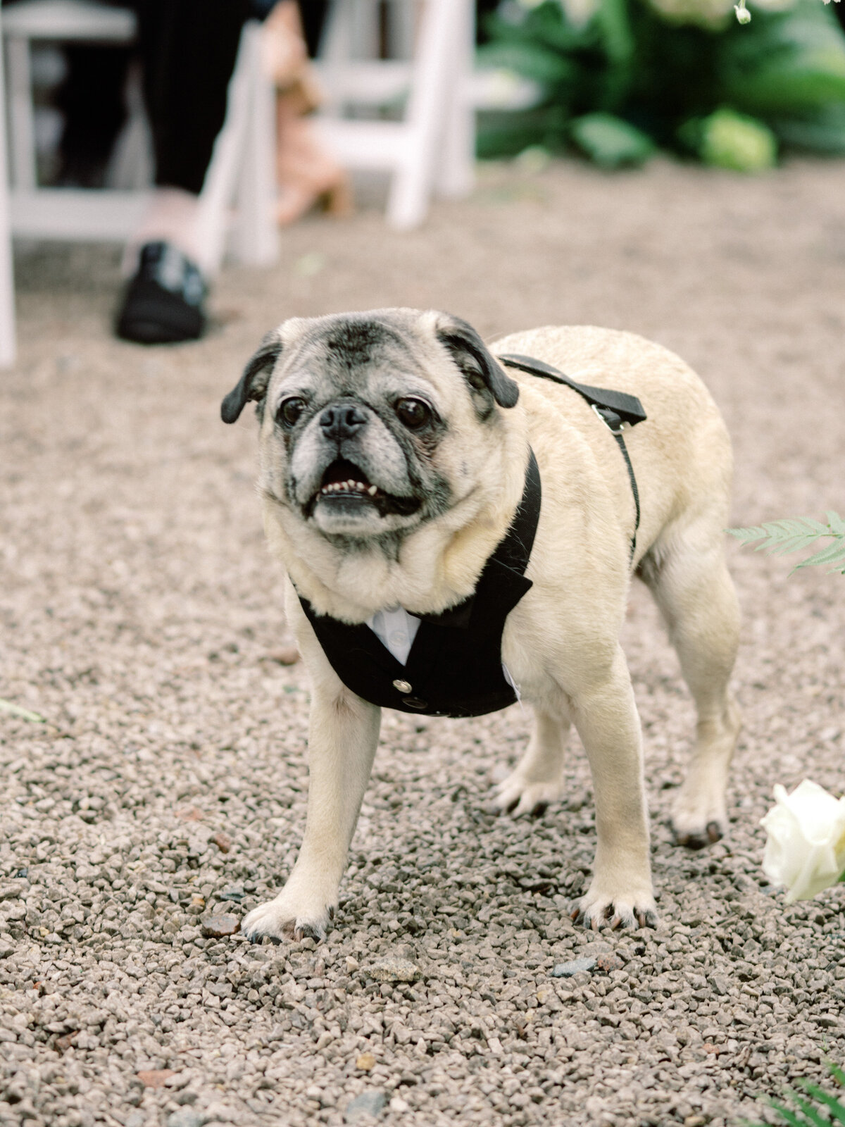 143-same-sex-wedding-photos-twenty-one-magazine-charleston-sc-philip-casey-photography