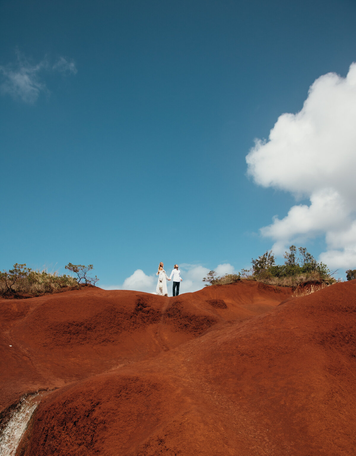 Maui Wedding Photographer captures bride and groom at intimate wedding ceremony